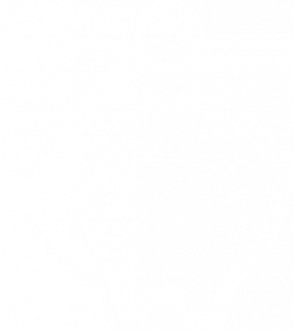 CatchOn-InvestWisely-Icon-White–min CatchOn-InvestWisely-Icon-White--min